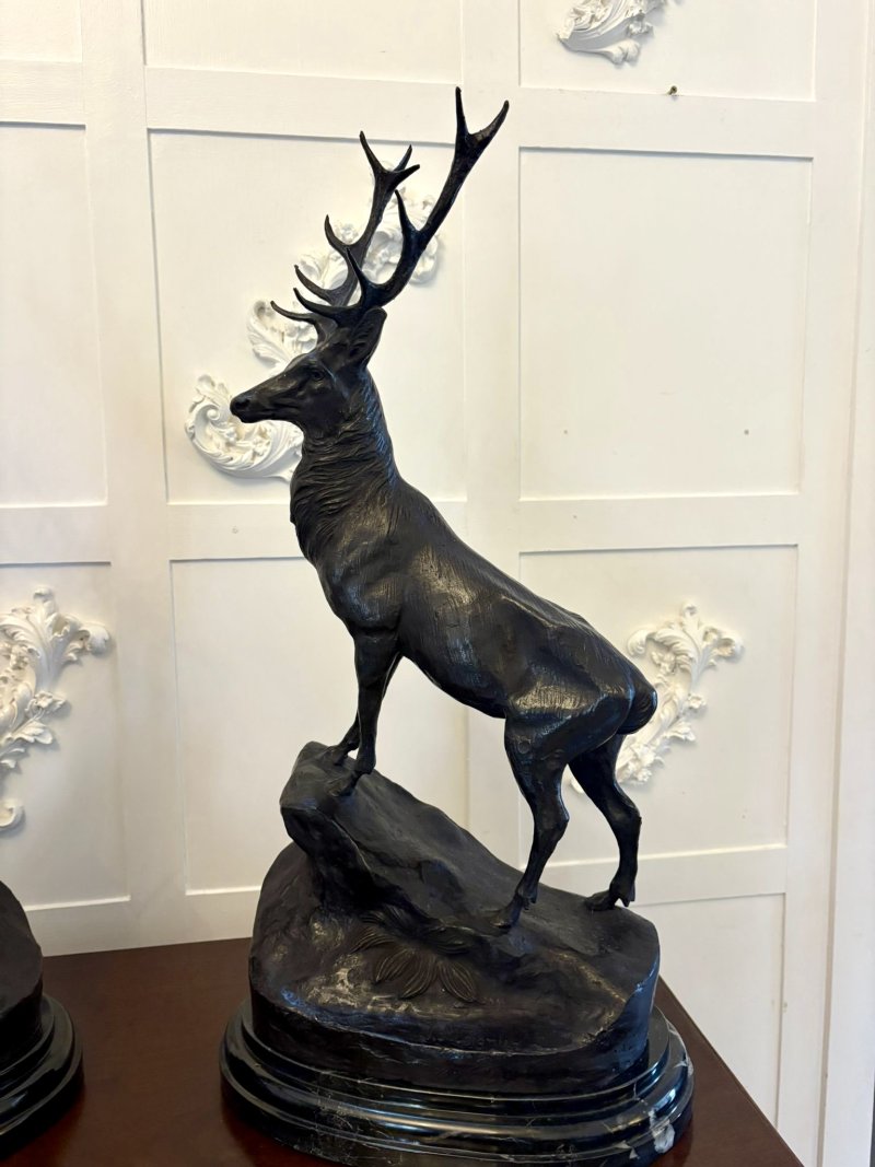 Pair of Exceptional Quality Bronze Highland Stags Mounted on Marble Bases by Jules Moigniez - Image 6